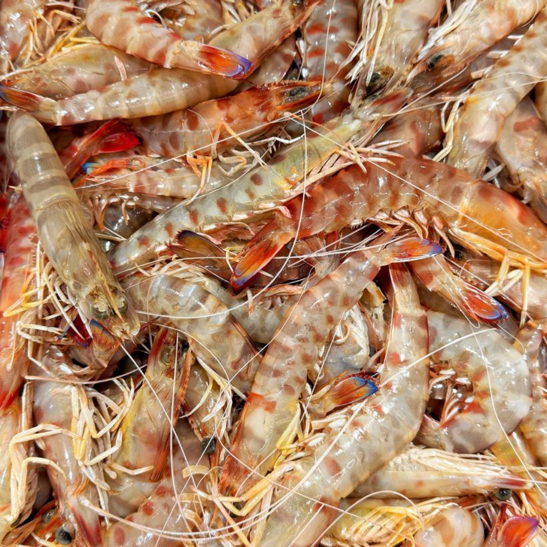 Pesce di stagione nel Mediterraneo: cosa scegliere mese per mese